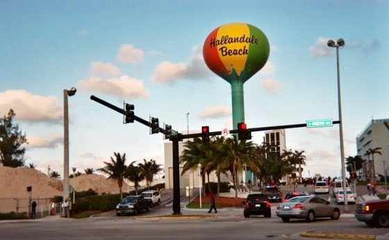 Hallandale Beach Florida Vet