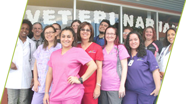 Meet Our Staff