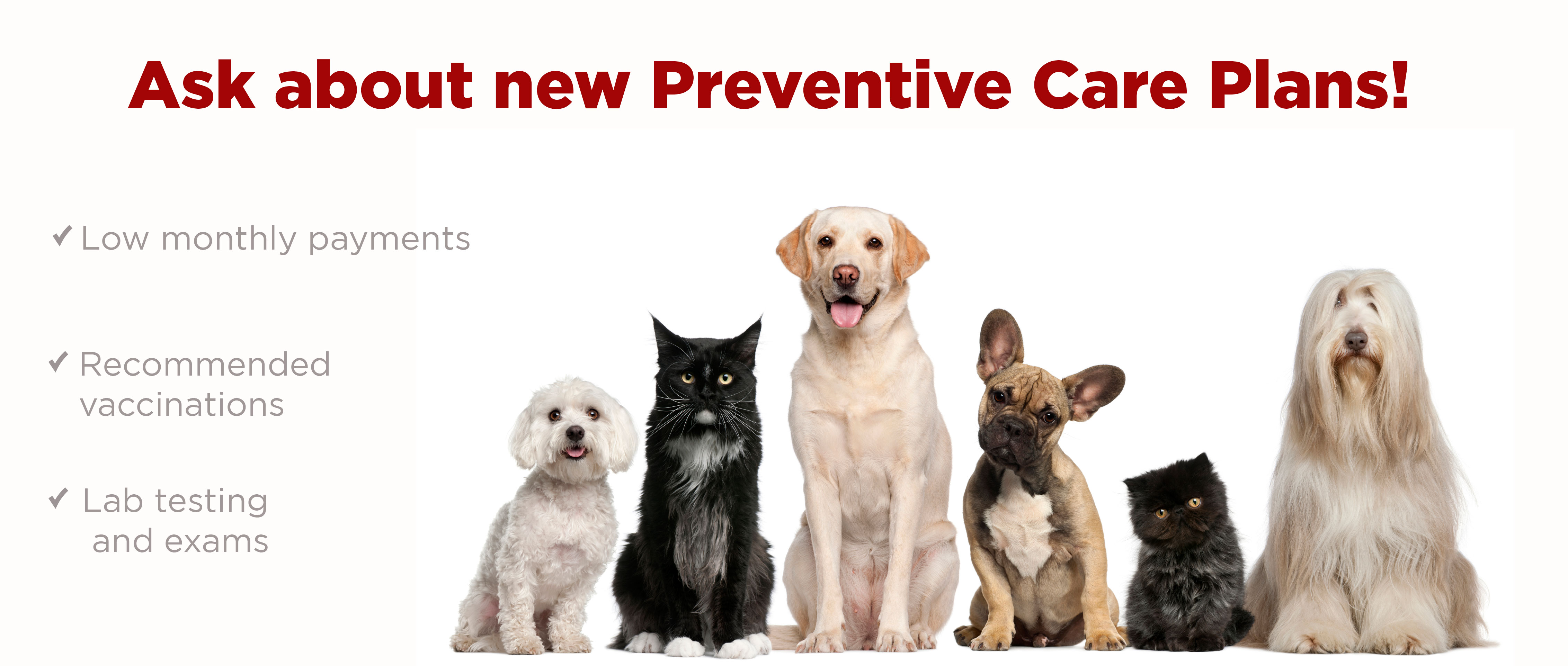 Preventative Plans