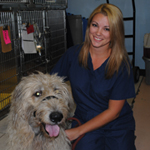 Dog Neutering Davie Florida