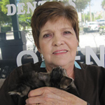 feral cats spaying